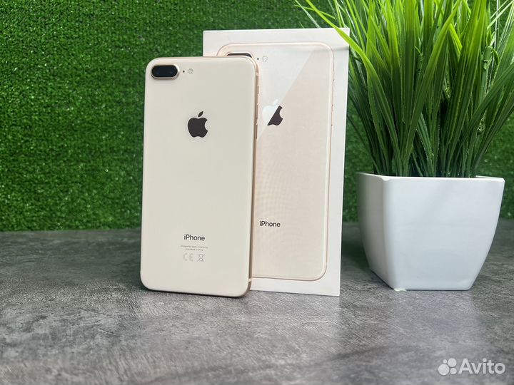 iPhone 8 Plus, 64 ГБ