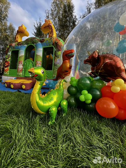 Аттракцион на дачу Бабл хаус