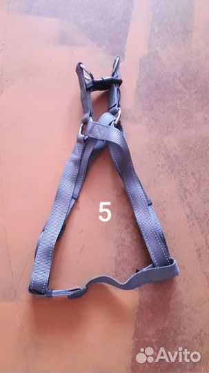 Поводки, ошейники, шлейка, намордник