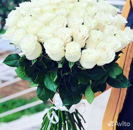 Высокие розы 150 160 170 180 190см доставка Москва