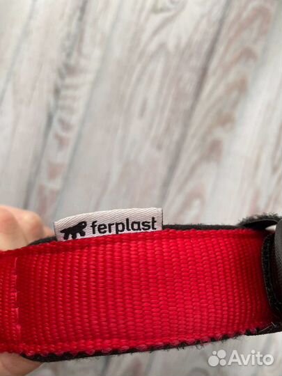 Ошейник для собак Ferplast daytona 47-55