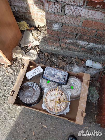 Корм для животных,торты, конфеты,печенье, пироги