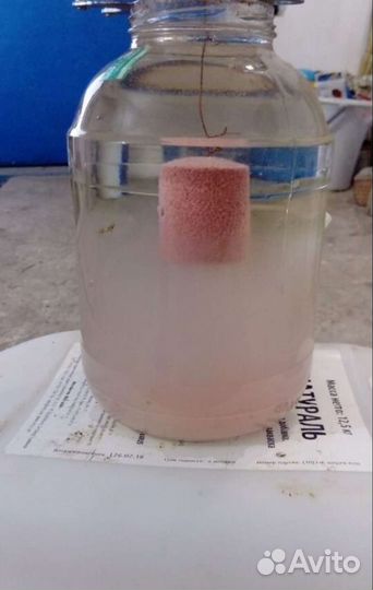 Технопланктон