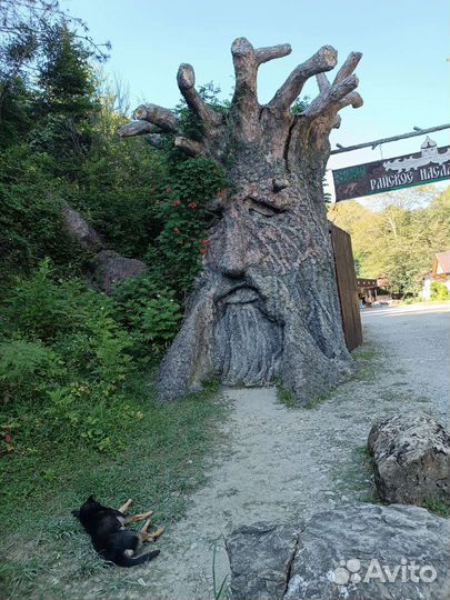 Отдых на черном море