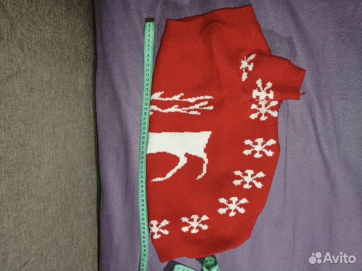 Одежда для средних собак