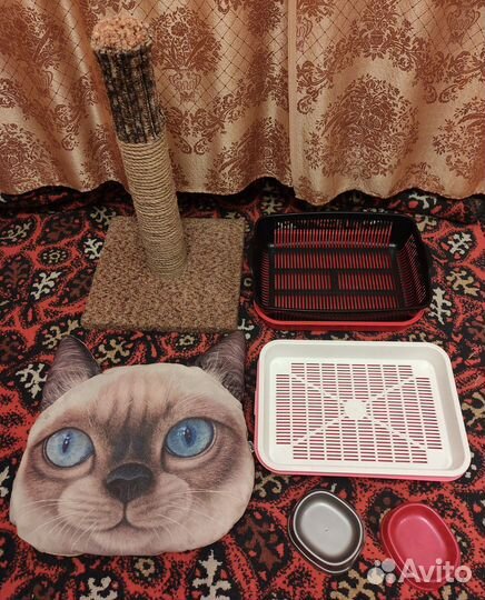 Когтедерки+лежанка+лотки для кошечек