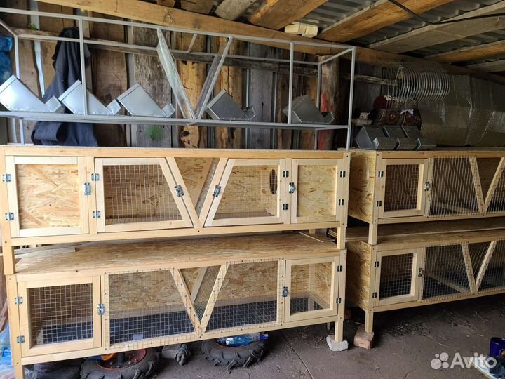 Клетка кролика