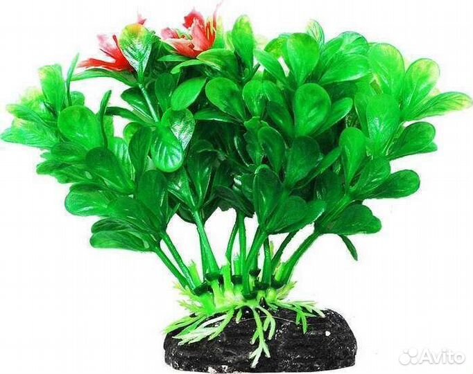 Уют Растение аквариумное 11см Людвигия зеленая 0,0