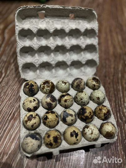 Яйцо перепелинное