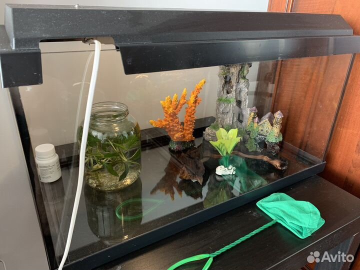 Аквариум Juwel Korallux 60