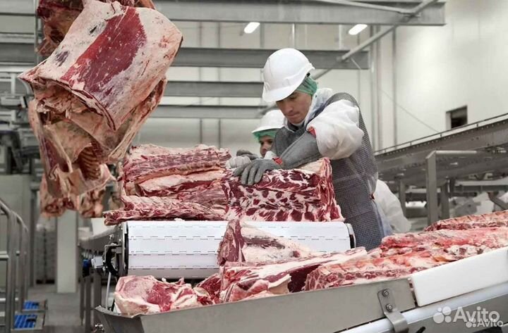 Инвестиции в действующий бизнес, доход 21437 в мес