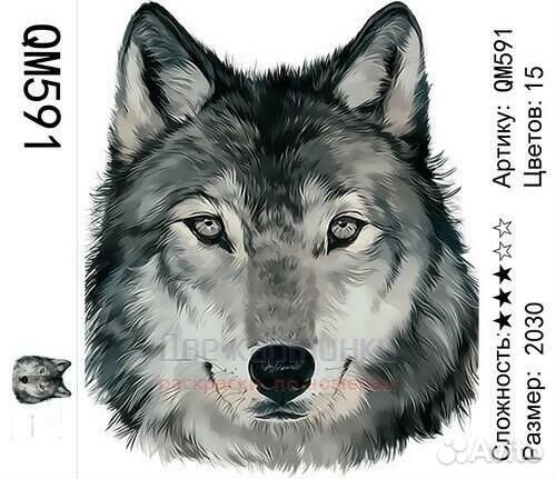 Картина по номерам 20x30 Портрет серого волка