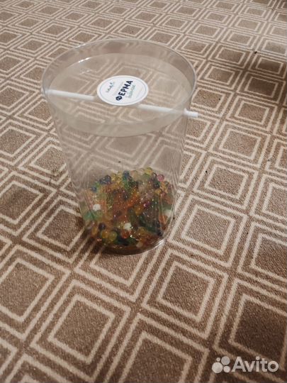 Ферма для выращивания бабочек