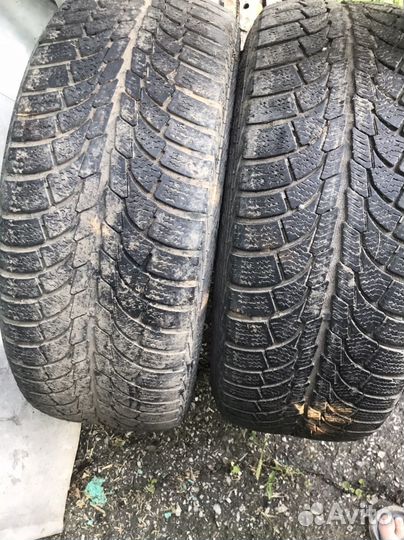 Gislaved Soft Frost 3 205/55 R16