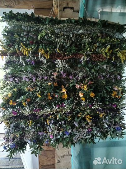 Живой ковёр