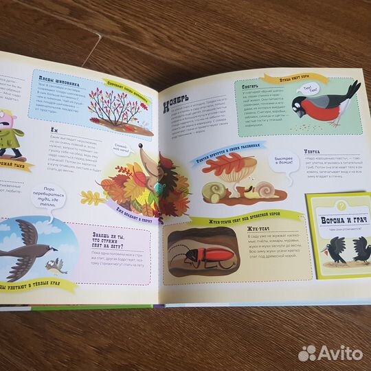 Детские развивающие книги и пособия на 3-5 лет