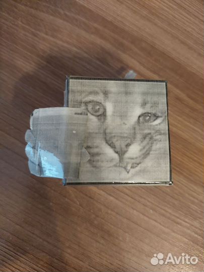 Шлёпа с квасом