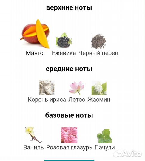 Mango skin 40 мл