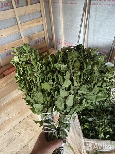 Веники березовые для бани