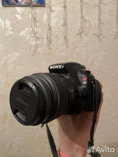 Зеркальный фотоаппарат sony