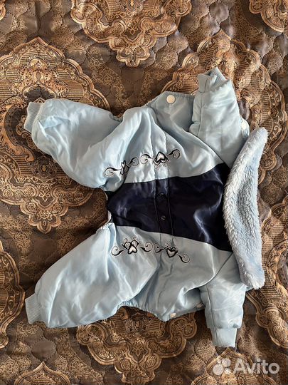 Комбинезон зимний для собак