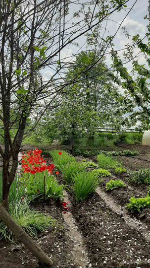 Дом 59 м² на участке 30,7 сот.