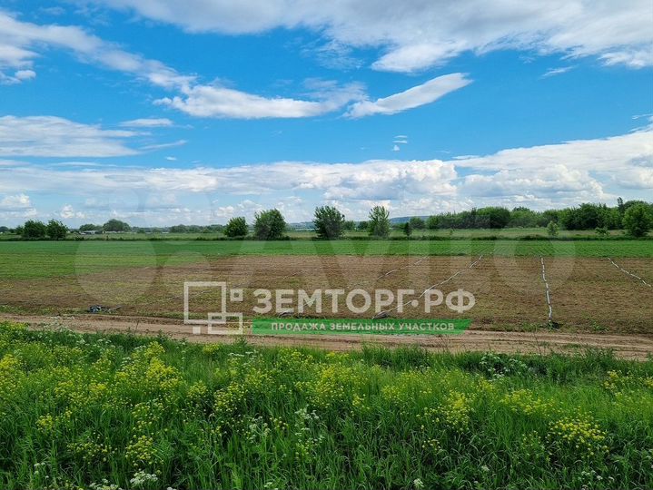 Участок 84 га (СНТ, ДНП)