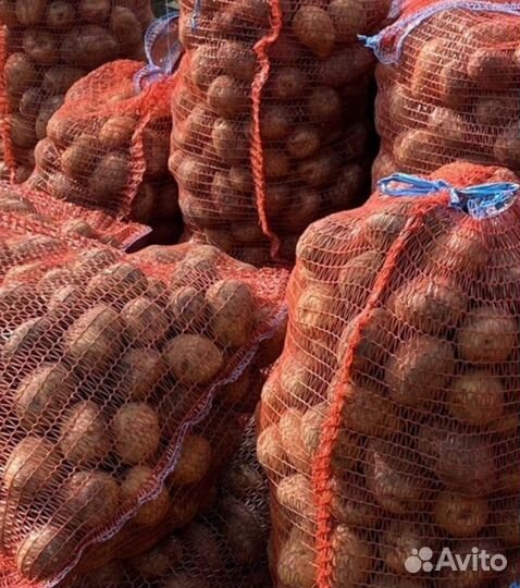 Продам картофель оптом