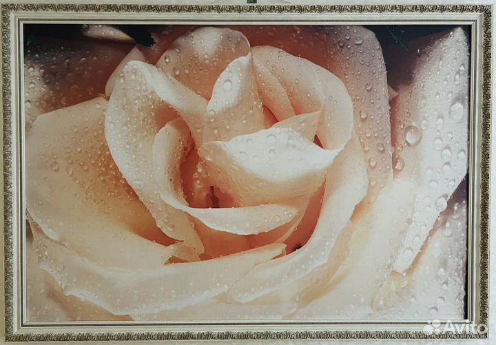 Картина на холсте принт размер 160*110см