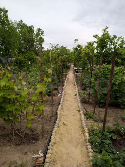 Дом 78,7 м² на участке 10,4 сот.