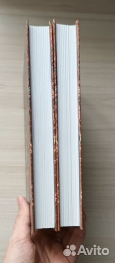 Книги Ярость и Рассвет, Роза и Кинжал Рене Ахдие