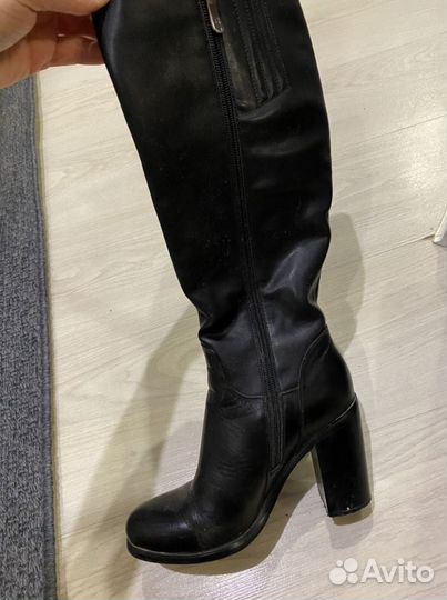 Сапоги осень весна женские