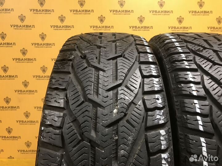 Tigar Winter 1 195/55 R15 85H