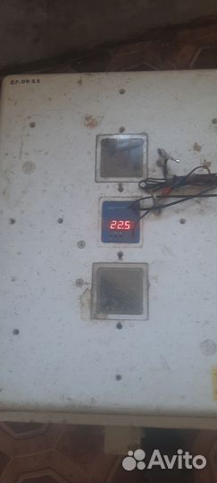 Инкубатор на 104 яйца несушка