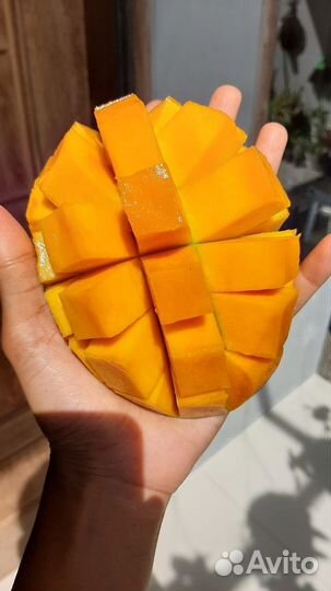 Манго из Тайланда