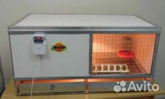 Брудер для цыплят 