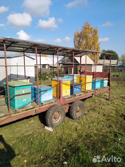 Пчёловодная платформа