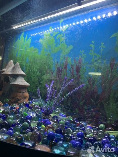 Аквариум 130л с тумбой