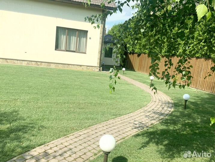 Рулонный газон от производителя