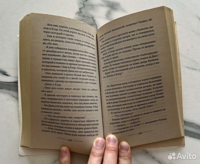 Книга Джорджи Кроули. Корги по имени Генри