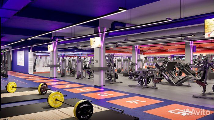 Абонемент в фитнес клуб Z fitness (зебра)