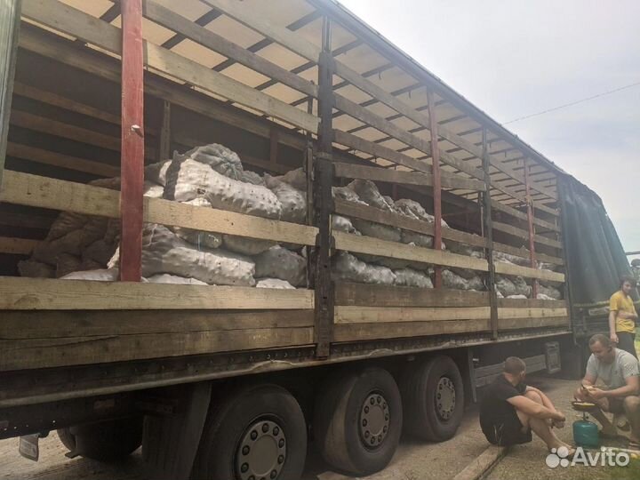 Грузчики/разнорабочие, грузоперевозки