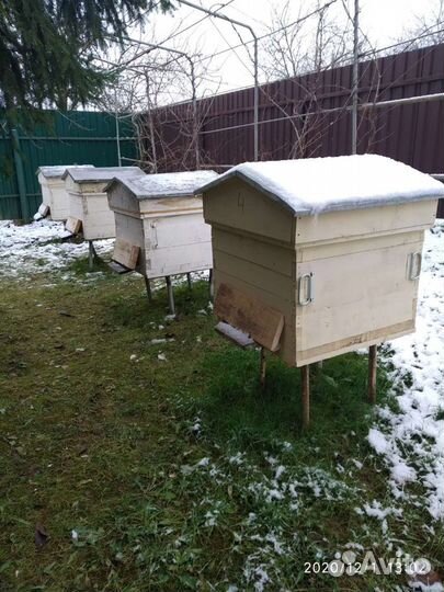 Пчелиный улей