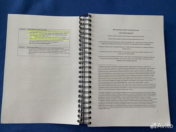 Legal Transationalism in Theory and Practice