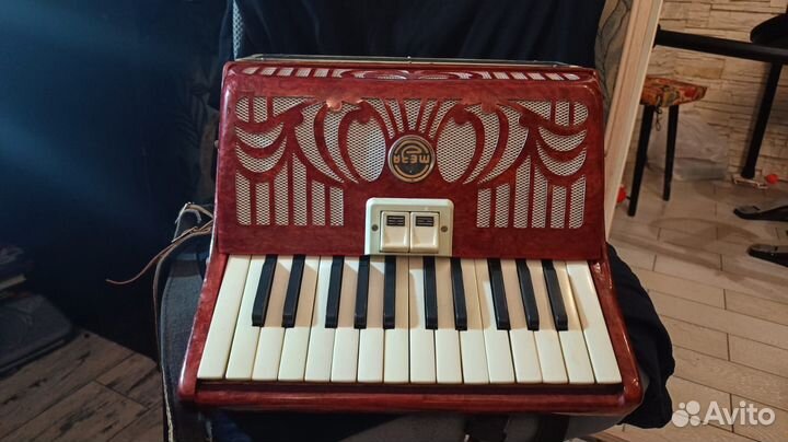Аккордеон Юность детский для муз. школы