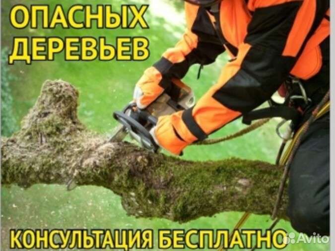 Спил аварийных деревьев, покос травы, вывоз мусора