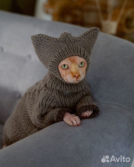 Одежда для собак и кошек