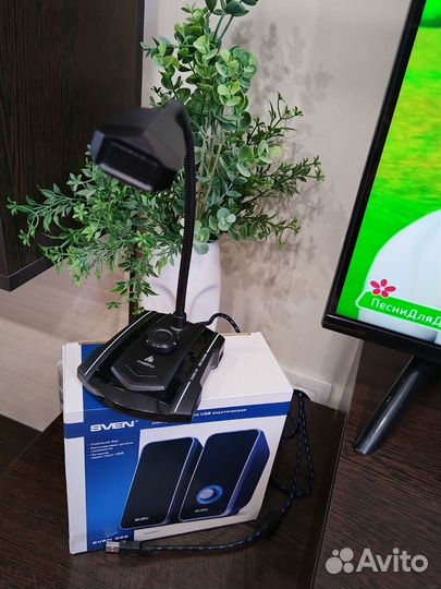 Музыкальные колонки и микрофон