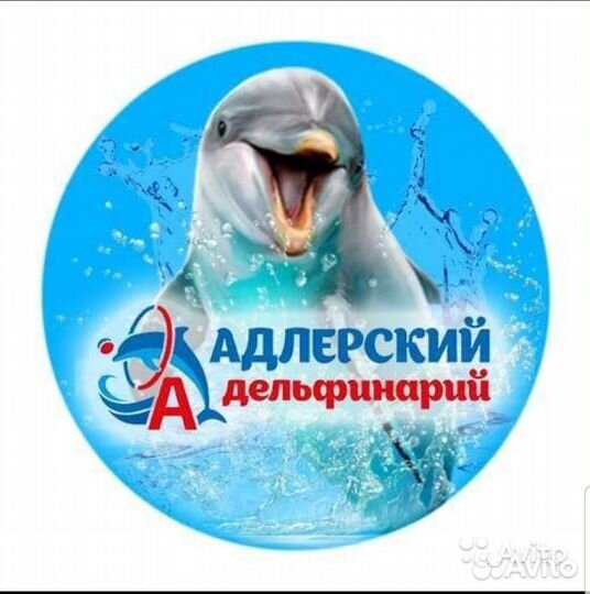 Продавец кассир