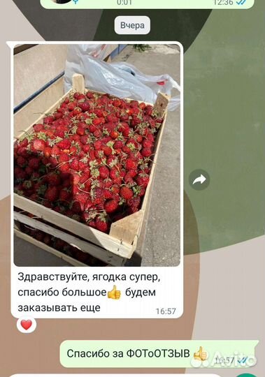 Клубника, малина, ежевика, вишня из Киргизии